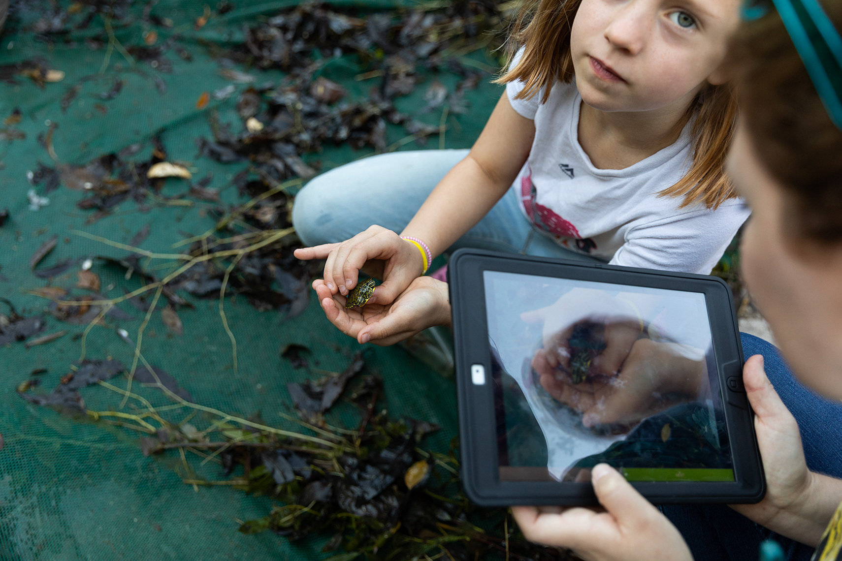 NMLAKAR_WCC_BioBlitz_042719_6Z7A6386