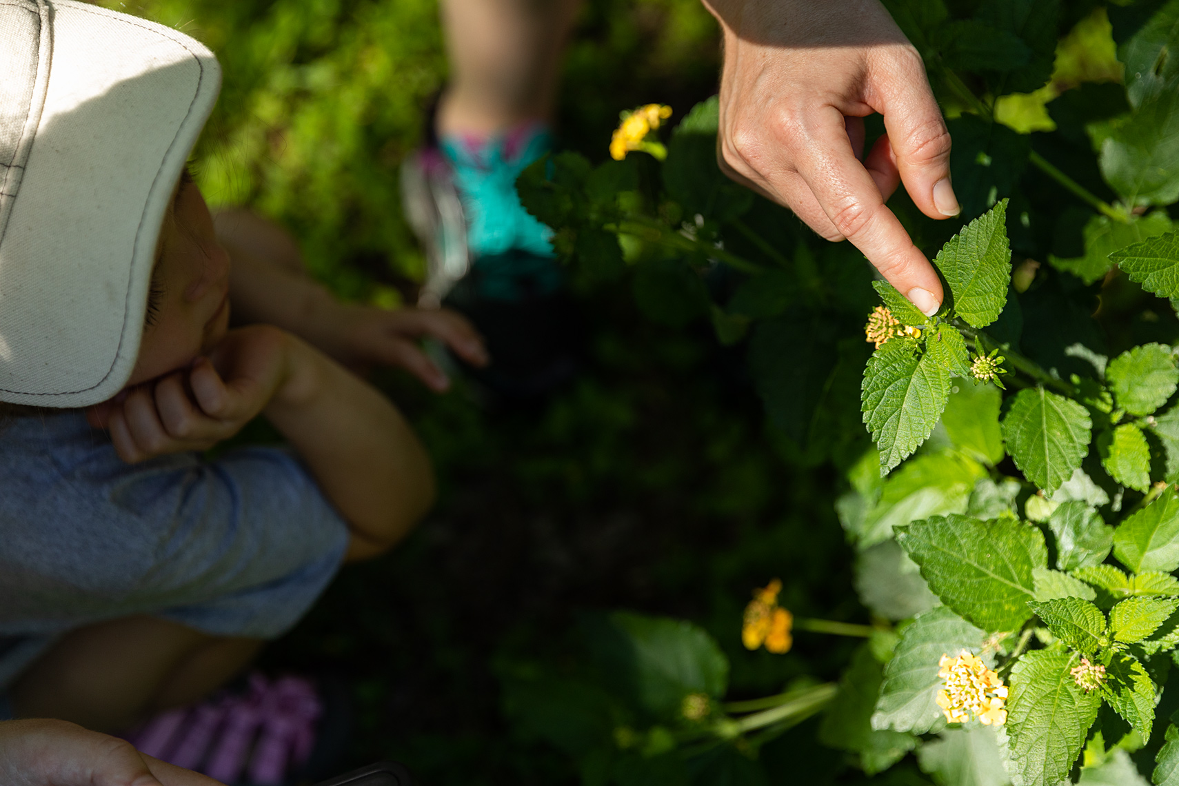NMLAKAR_WCC_BioBlitz_042719_6Z7A6611